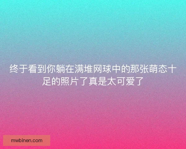 终于看到你躺在满堆网球中的那张萌态十足的照片了真是太可爱了