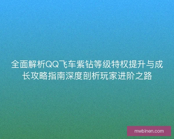 全面解析QQ飞车紫钻等级特权提升与成长攻略指南深度剖析玩家进阶之路