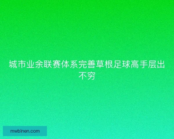 城市业余联赛体系完善草根足球高手层出不穷 城市业余联赛体系完善草根足球高手层出不穷